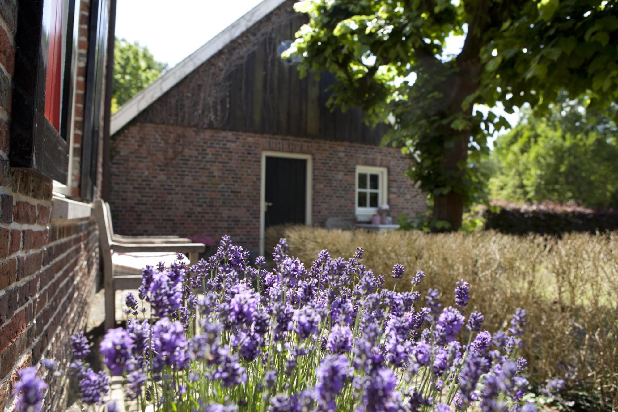 Klein Wolterinck Villa Haaksbergen Eksteriør billede